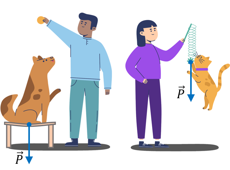 Вага тіла, перевантаження та невагомість. Перевантаження та його вплив ...