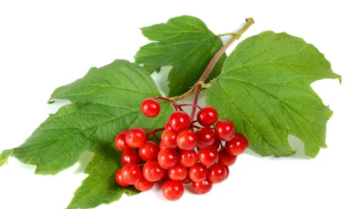 0401jgu9-94b6-504x305.png