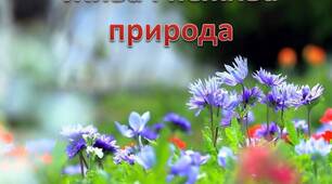 Жива та нежива природа