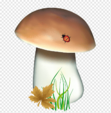 0401jhc0-98a7-111x113.png