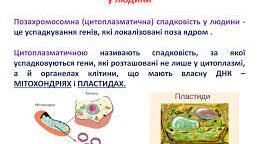 Позахромосомна (цитоплазматична) спадковість у людини.