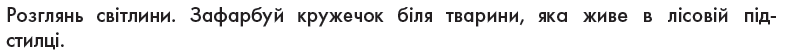 0401jk8o-af22-801x54.png
