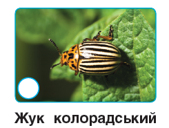 0401jk90-2375-245x185.png