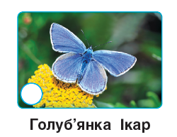 0401jk93-b86f-250x193.png