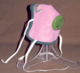 0401jnhk-8fd6-162x147.png