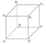 0401jola-063a-156x148.png