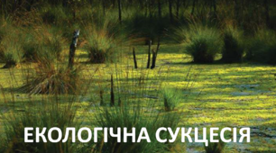 11 клас (стандарт) Екологічні сукцесії