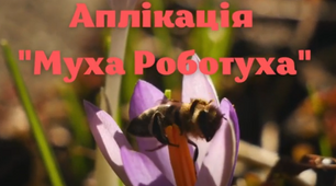 Виготовлення аплікації "Муха Роботуха"