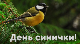 Виховний захід "День синички"
