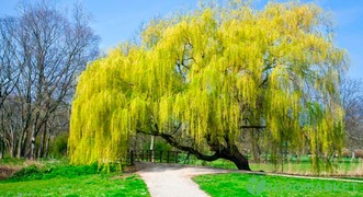 0401jx8j-77d0-331x180.jpg