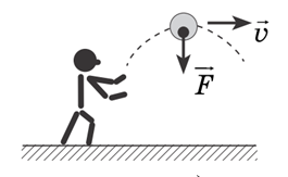 0401jxjy-443c-265x163.png