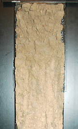 0401jynw-9afa-161x265.png