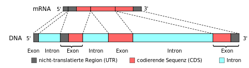 0401jyvx-333f-500x137.png