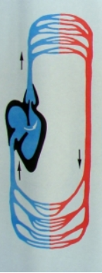 0401k0lp-7e43-145x388.png