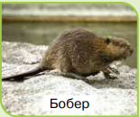 0401k2eg-921e-155x130.png