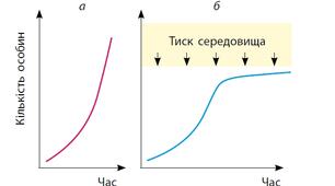 Динамічні параметри популяцій. Екологічні стратегії
