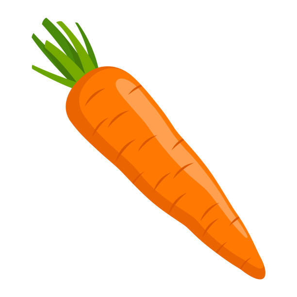Carrot Stock Illustration - Download Image Now - Carrot Sticks, Carrot, Carrot Cake - iStock