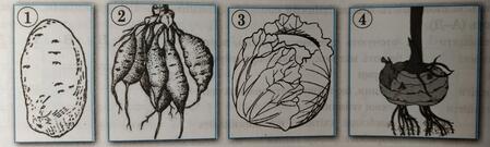 0401k43p-b382-449x135.jpg
