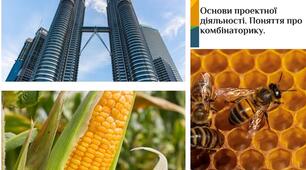 Основи проектної діяльності. Поняття про комбінаторику.