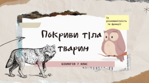 Покриви тіла тварин,їх різноманітність та функції.