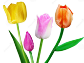 0401k5g8-447c-172x130.png