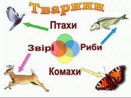 Конспект уроку "Чому тварини такі різні"