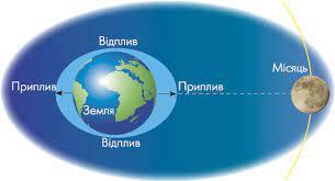 Повна та мала океанська вода | Ноев Ковчег