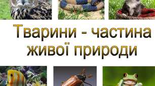  Жива природа. Тварини