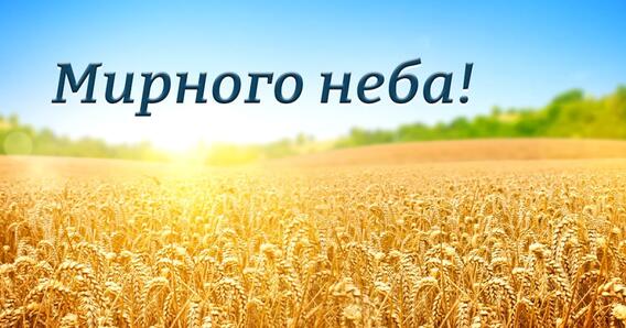 0401ka7h-7e65-568x298.jpg