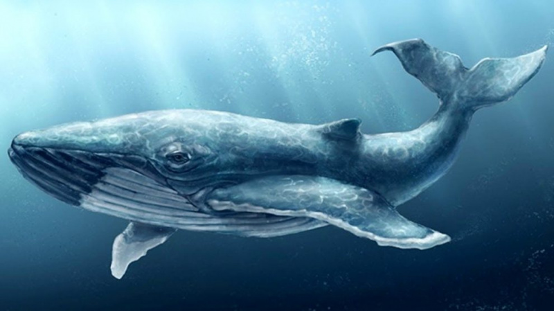 0401katn-48f6-800x449.png