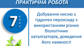 Практична робота 4 "Добування кисню з гідроген пероксиду з використанням різних біологічних каталізаторів"