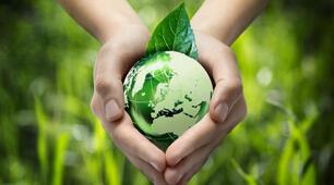 Travail de contrôle "L'environnement" (1)