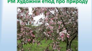 РМ Етюд про природу.