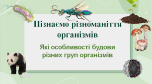 НУШ 5 клас. Презентація уроку  "Які особливості будови різних груп організмів".