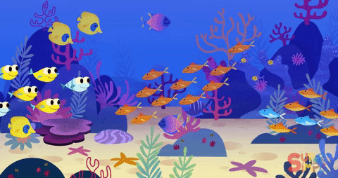 0401kexr-551c-480x254.gif