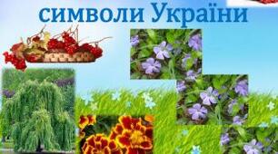 Конспект уроку. Літературне читання. Чарівні рослини. Надія Кир'ян " Євшан"
