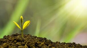 Test "NATURE AND CLIMAT" ( Unit 4)