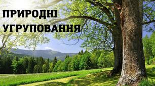 Природні угруповання. Діагностувальна робота для учня з ООП.