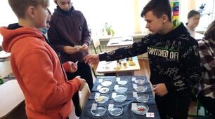 Види і форми науково – дослідницької роботи