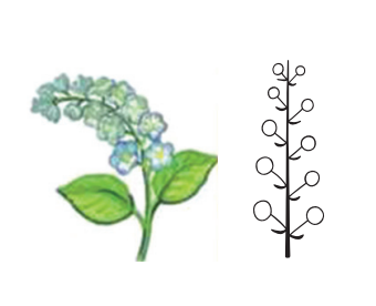0401khso-116d-340x276.png