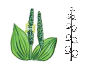 0401khsq-a35a-306x247.png