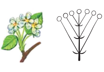 0401khu9-61da-361x249.png