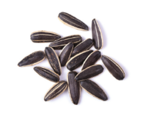 0401khvp-ee64-295x238.png