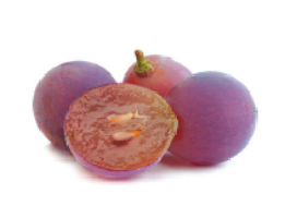 0401khw3-1572-272x200.png