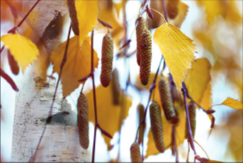 0401khxi-58fd-343x230.png