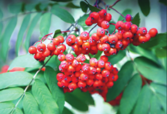 0401khy4-e67a-344x236.png