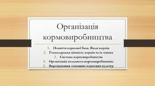 Презентація на тему: "Організація кормовиробництва"