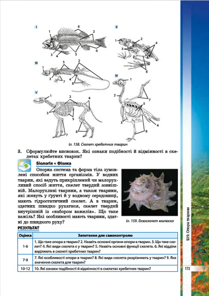 0401kl76-c061-688x975.png