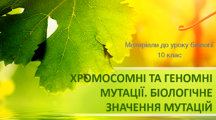 Презентація "Хромосомні та геномні мутації"