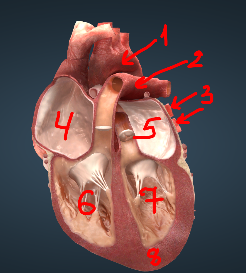 0401knn1-a5e7-839x931.png